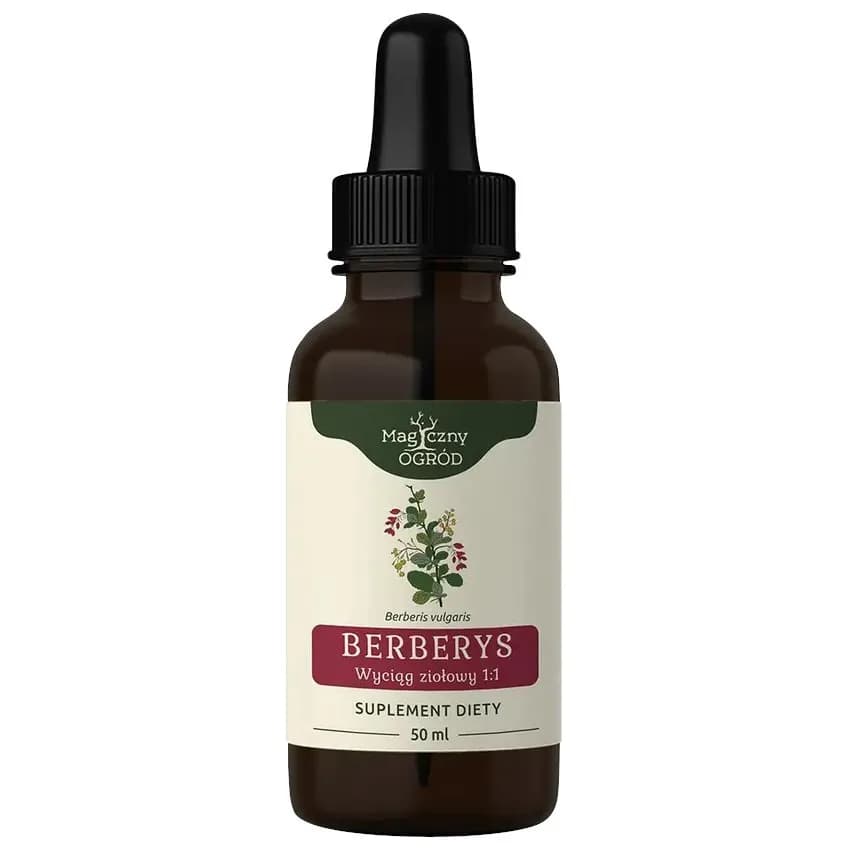 Nanga Berberys wyciąg ziołowy 1:1 50ml - zdjęcie 1