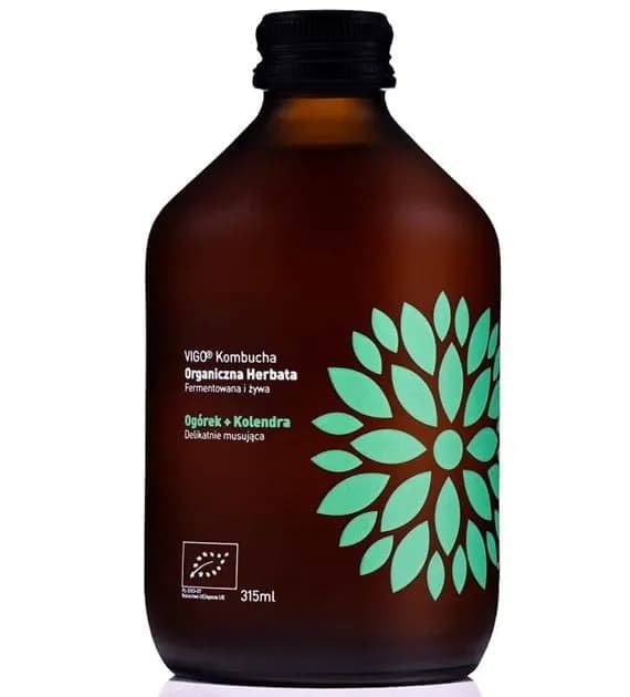VIGO Kombucha Ogórek + Kolendra BIO 330ml - zdjęcie 1